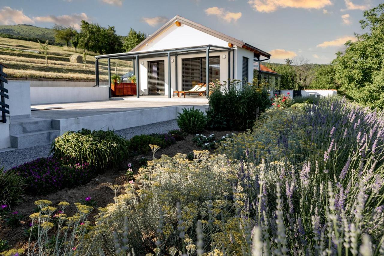 Sunny Hill Apartment Vremski Britof Exterior foto